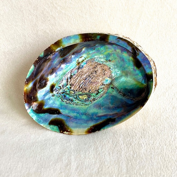 Large Abalone Shell Vessel - Picture 1 of 11